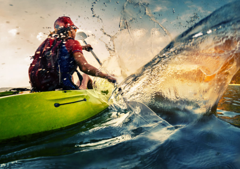 PAssion WaVe @ Jurong Lake Gardens